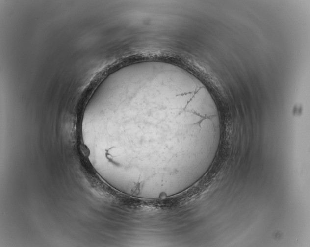 X0000094450592200711291701