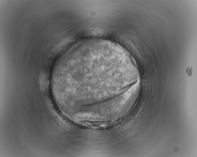 X0000094450593200711291701