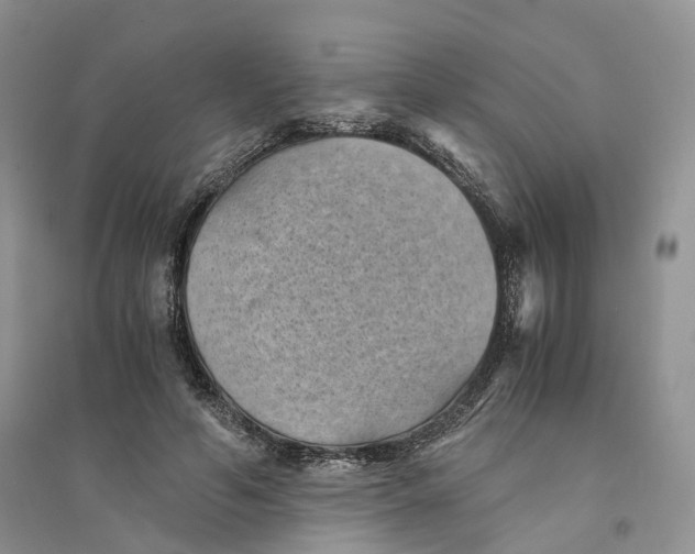 X0000094450594200711291701