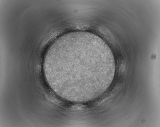 X0000094450595200711291701