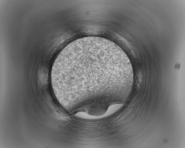 X0000094450596200711291701