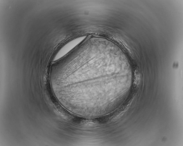 X0000094450597200711291701