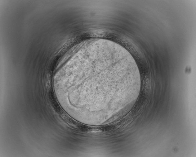 X0000094450598200711291701