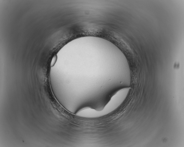 X0000094450599200711291701