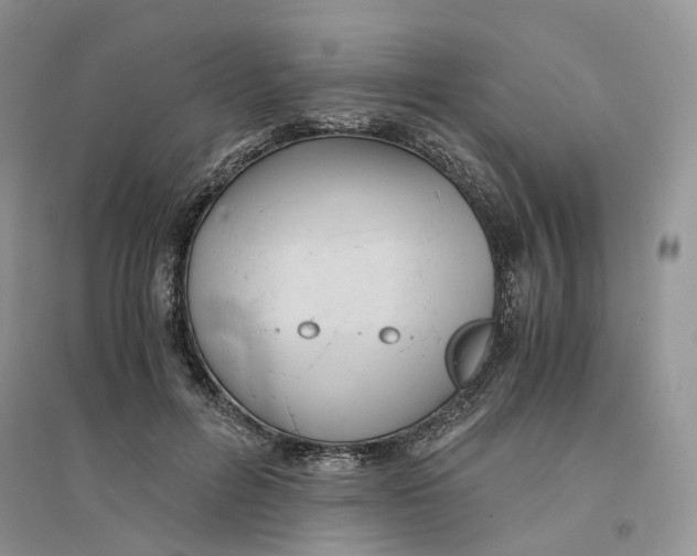 X0000094450600200711291701