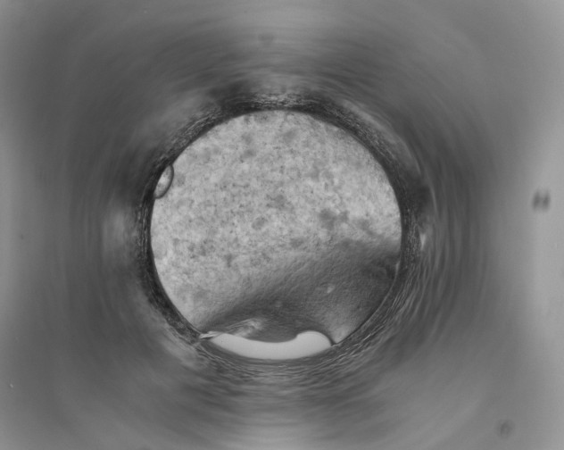 X0000094450601200711291701