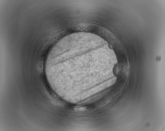 X0000094450602200711291701