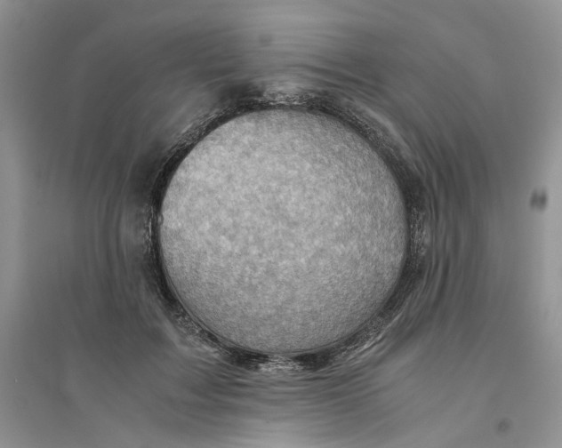 X0000094450603200711291701