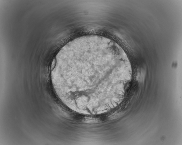 X0000094450605200711291701