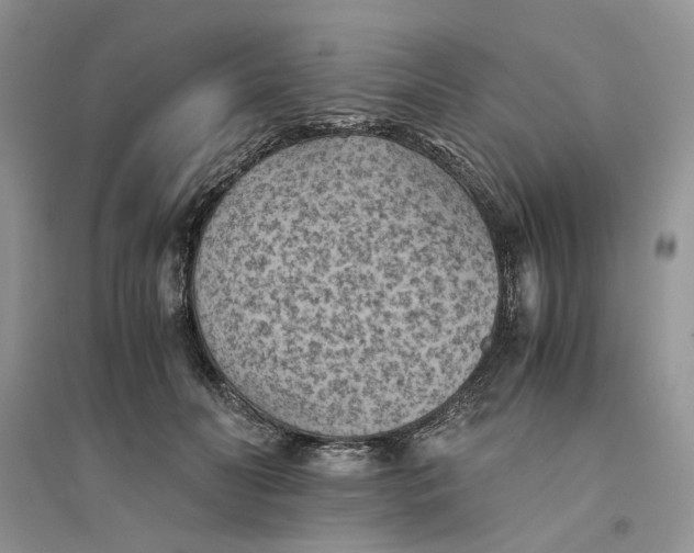 X0000094450606200711291701