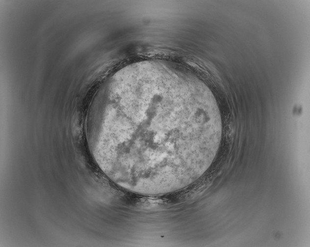 X0000094450607200711291700