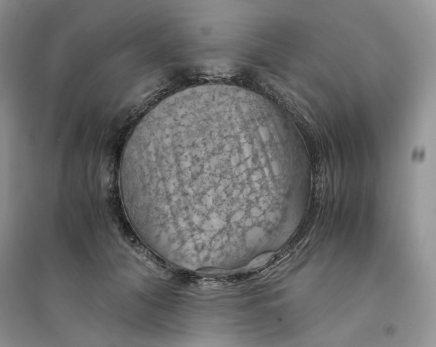 X0000094450608200711291700