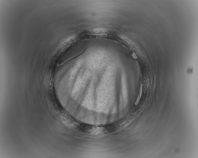 X0000094450609200711291700