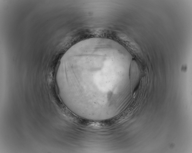 X0000094450611200711291700