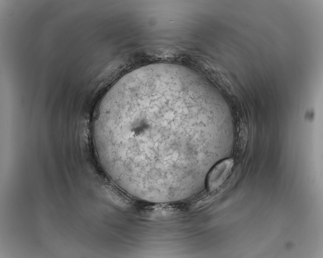 X0000094450612200711291700