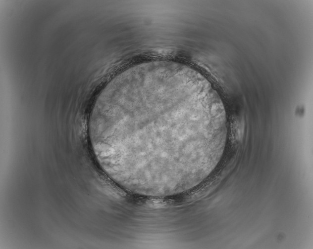 X0000094450613200711291700