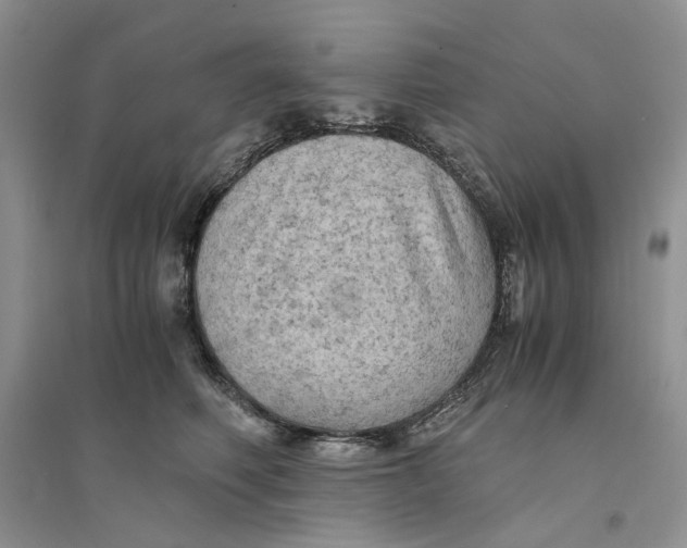 X0000094450614200711291700