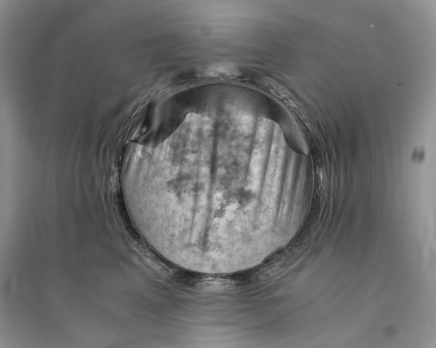 X0000094450617200711291700