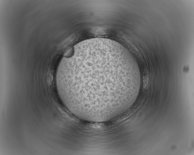 X0000094450618200711291700