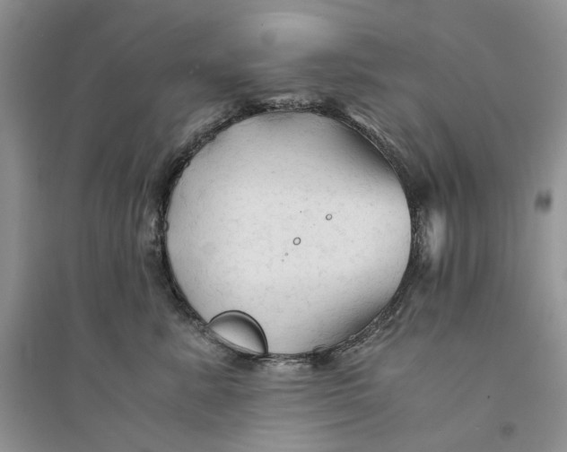 X0000094450619200711291700