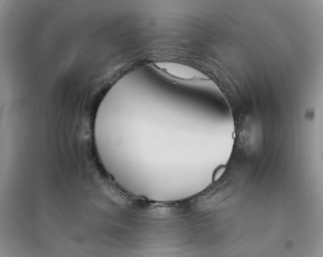 X0000094450620200711291700