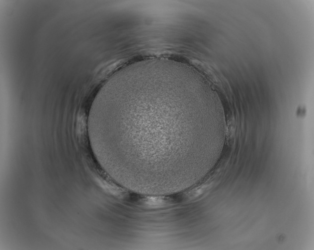 X0000094450623200711291700