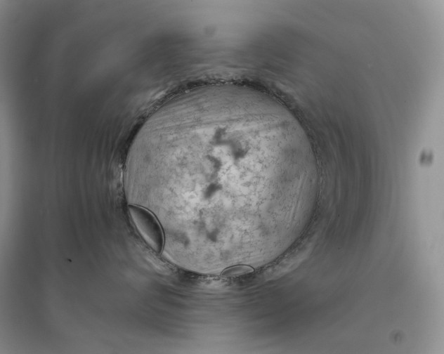 X0000094450624200711291700