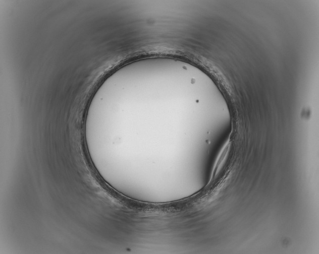 X0000094450625200711291700