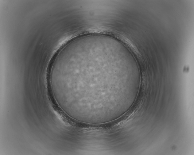 X0000094450626200711291700