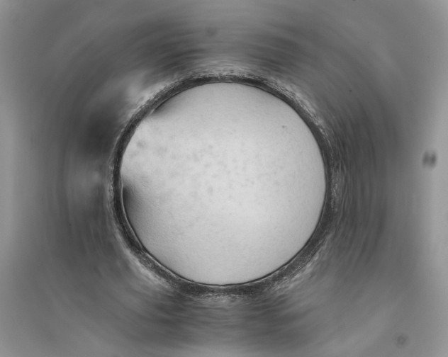 X0000094450629200711291700