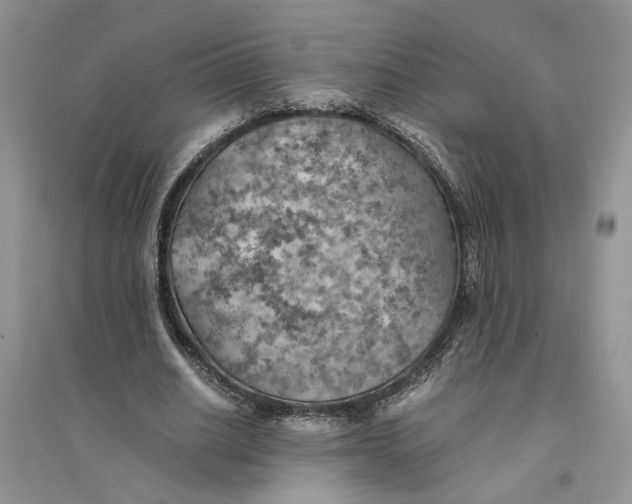 X0000094450630200711291700