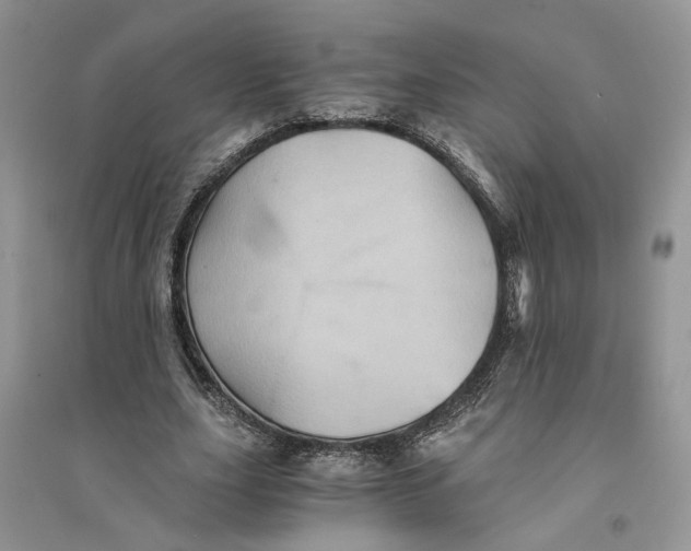 X0000094450631200711291700