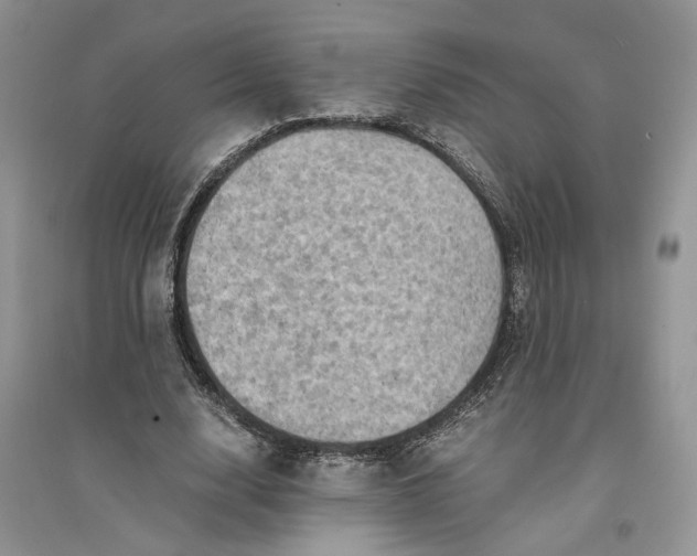 X0000094450632200711291700