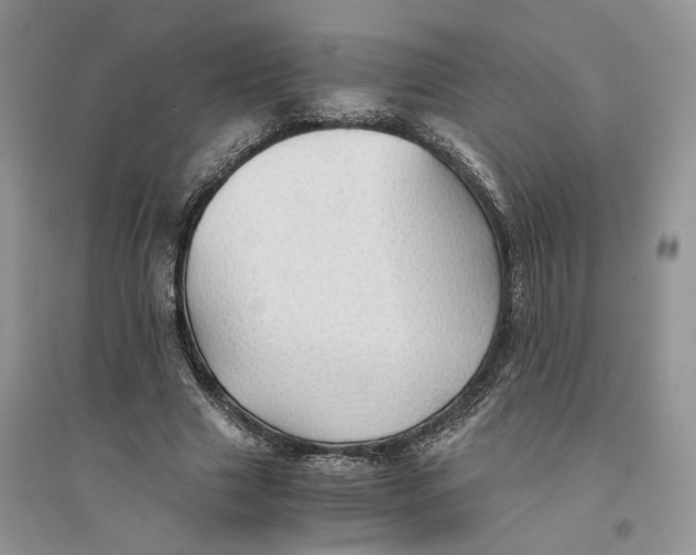 X0000094450633200711291700