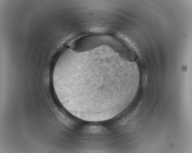 X0000094450637200711291700