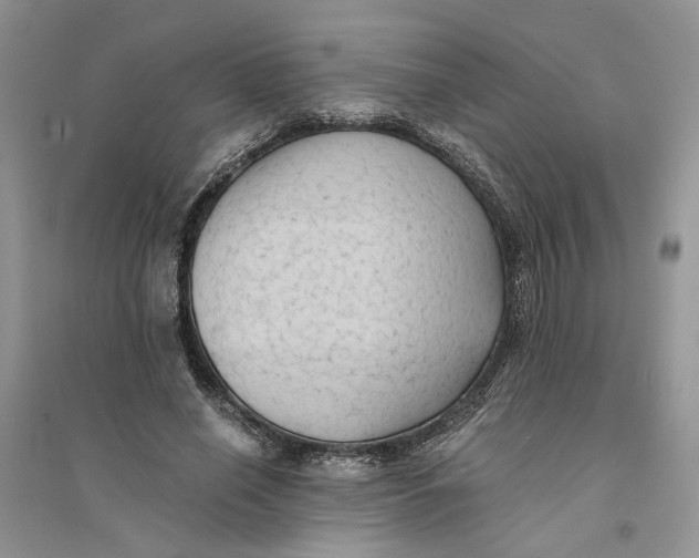 X0000094450638200711291700