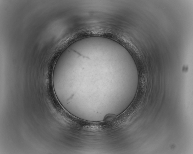 X0000094450639200711291700