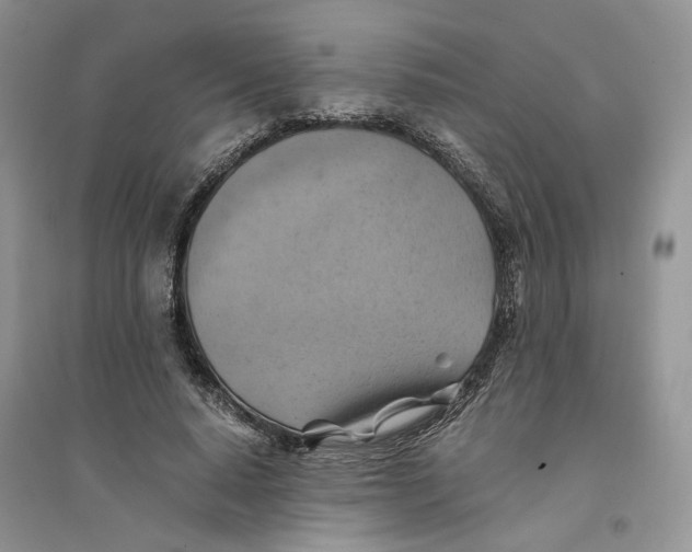 X0000094450640200711291700