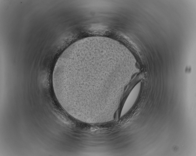 X0000094450641200711291700