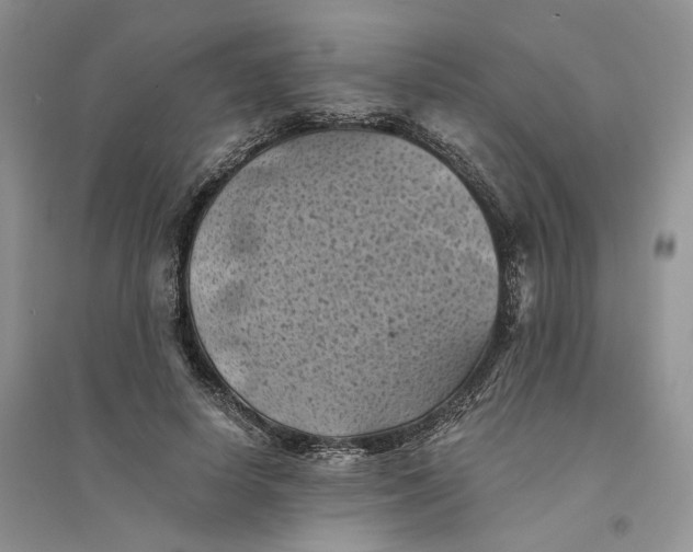 X0000094450642200711291700