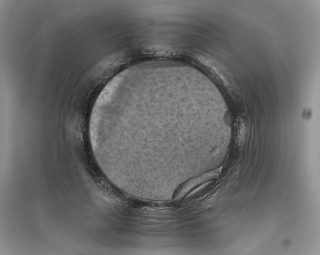 X0000094450643200711291700