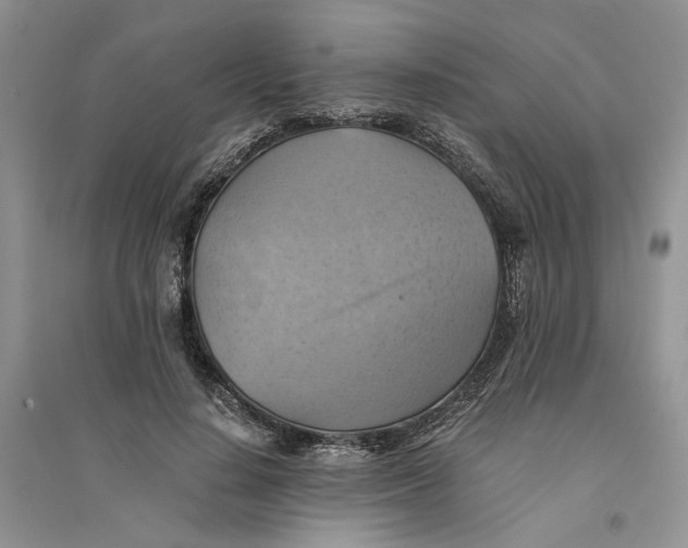 X0000094450644200711291700