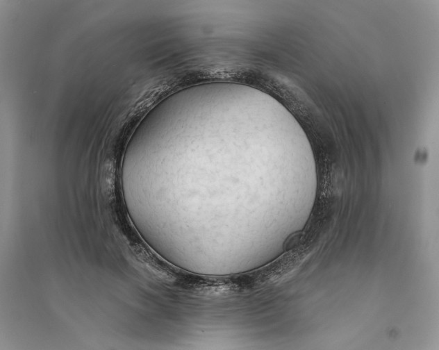 X0000094450646200711291700