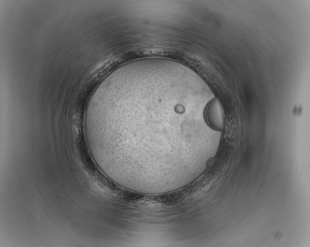 X0000094450648200711291700