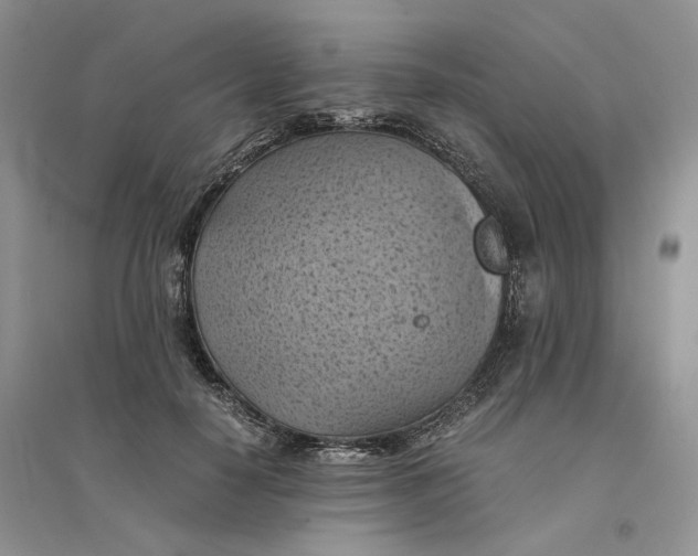 X0000094450650200711291700