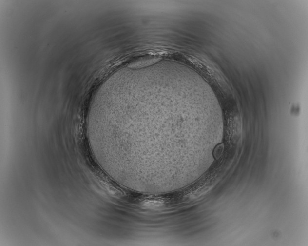 X0000094450653200711291700