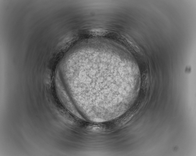 X0000094450655200711291700