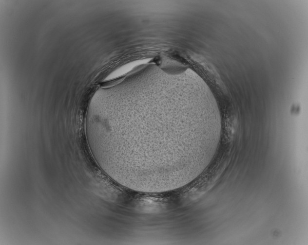 X0000094450657200711291700