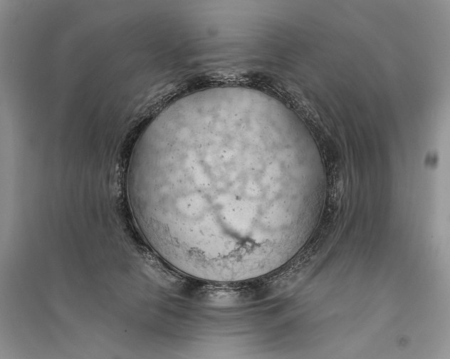 X0000094450658200711291700