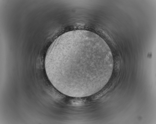 X0000094450661200711291700